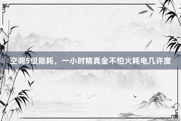 空调5级能耗，一小时精真金不怕火耗电几许度